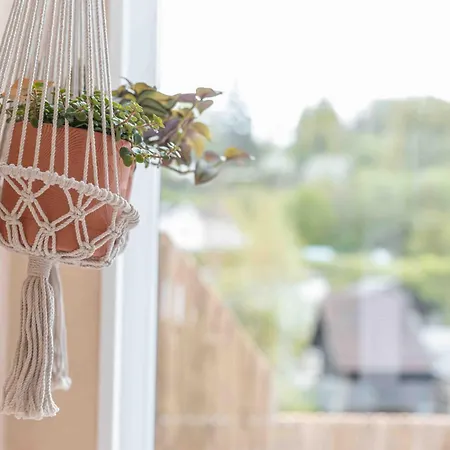 Appartement Les Kangourou *