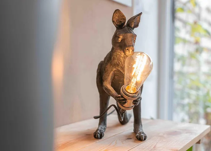 Les Kangourou * Dinant