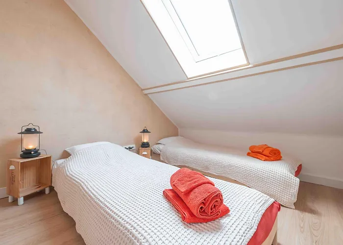 Les Kangourou Dinant