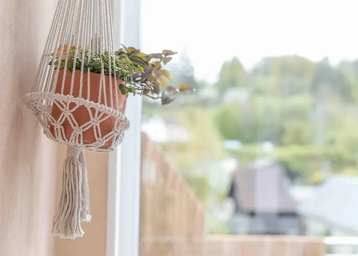 Appartement Les Kangourou *